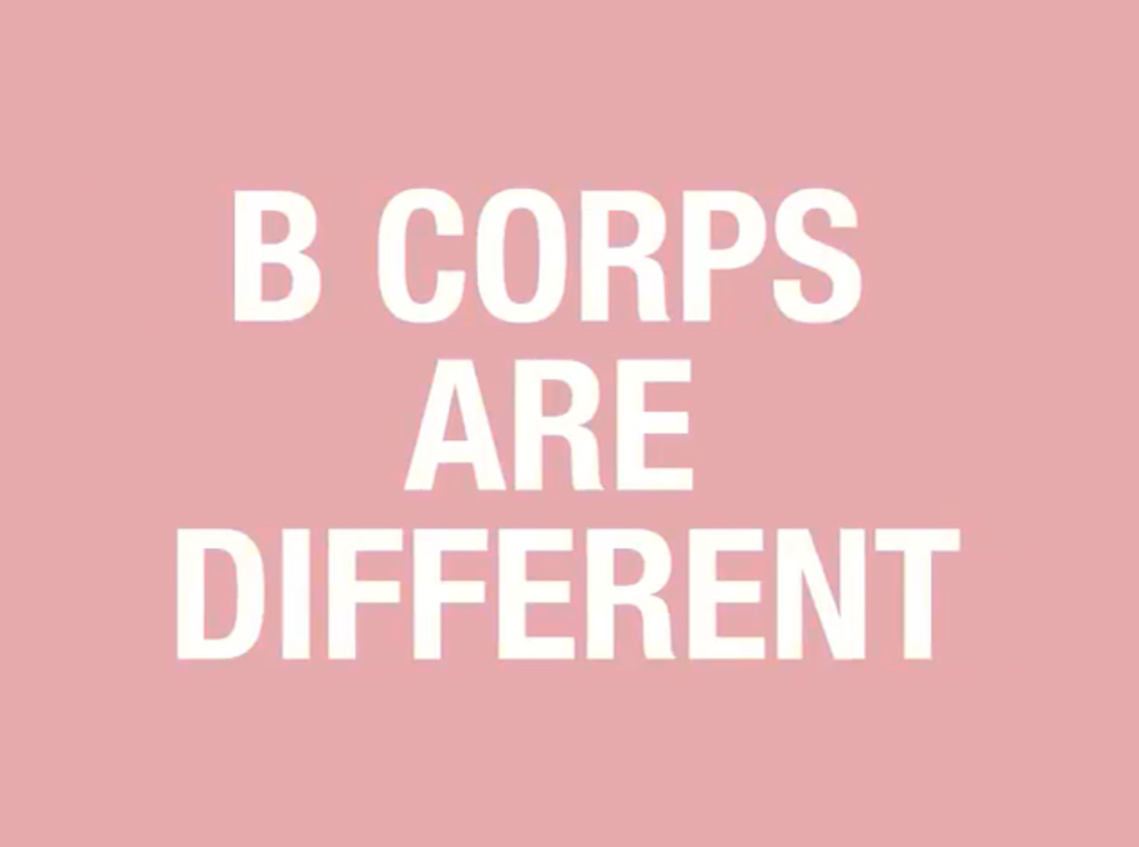 Celebrating B-Corp Month and the Baby Brands That Are in it With Us!